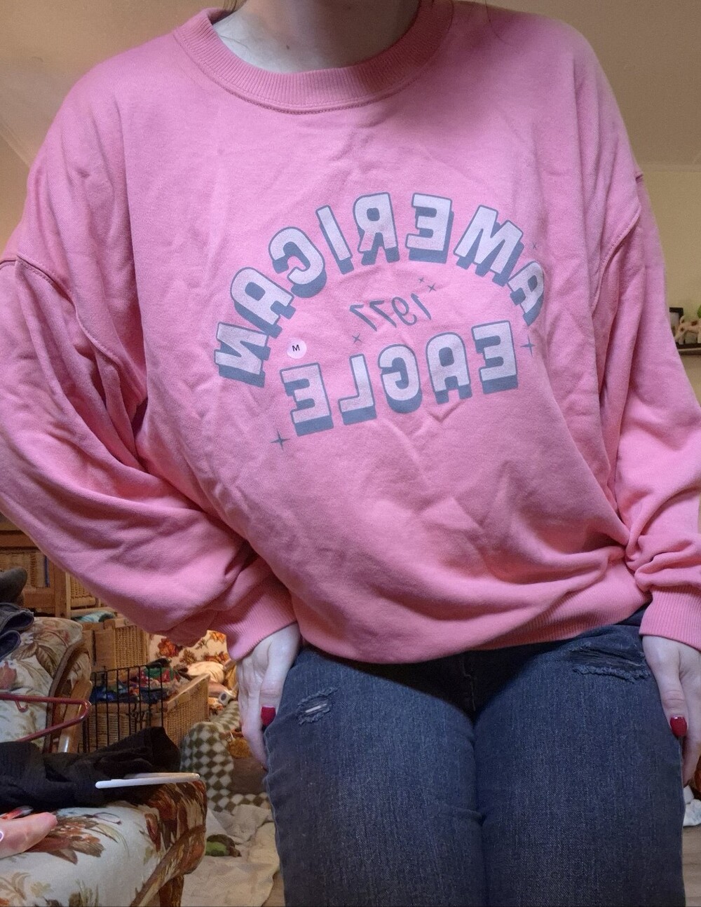American Eagle Outfitters Pink Graphic Crew Sweatshirt